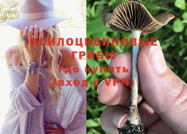 твердый Бугульма