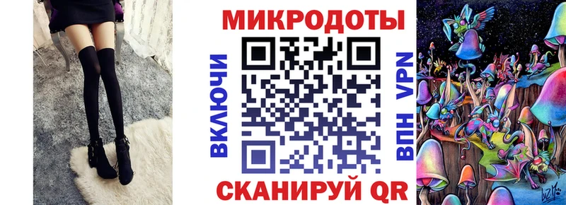 наркошоп  Калачинск  Псилоцибиновые грибы Psilocybe 